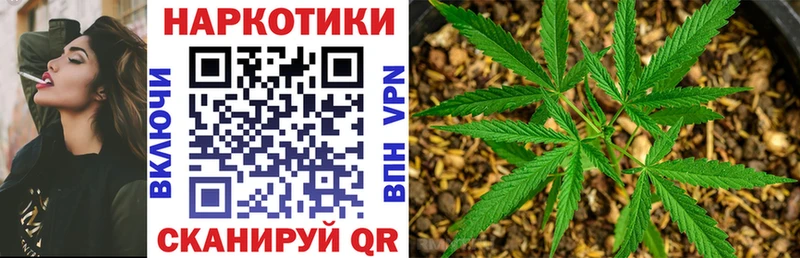 Где найти наркотики Городовиковск Конопля Альфа ПВП ГАШ Меф