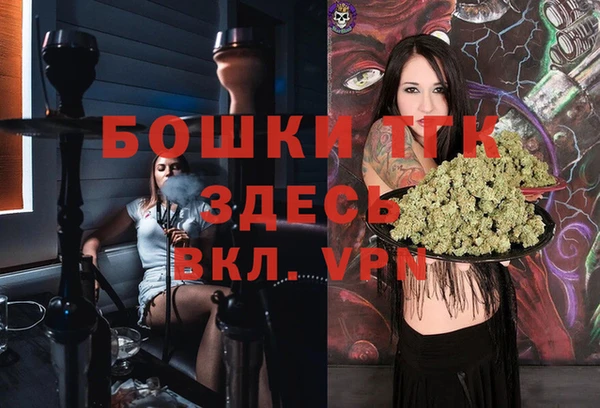 ПСИЛОЦИБИНОВЫЕ ГРИБЫ Богданович