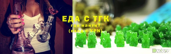 тгк Бородино