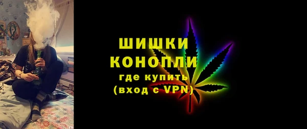 mix Богородицк