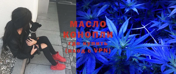 mix Богородицк