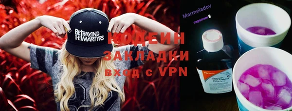 ПСИЛОЦИБИНОВЫЕ ГРИБЫ Богданович