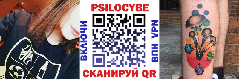 Псилоцибиновые грибы мицелий  где найти наркотики  Городовиковск 